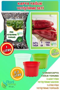 Kapya Biber Yetiştirme Seti – Kapya Biber Tohumu + Karışımlı Fide Toprağı + 3’lü Drenajlı Saksı
