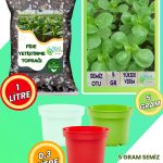 Semizotu Yetiştirme Seti – Semizotu Tohumu + Cocopeat & Perlit Katkılı Fide Toprağı + Drenajlı Saksı