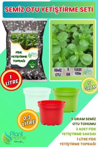 Semizotu Yetiştirme Seti – Semizotu Tohumu + Cocopeat & Perlit Katkılı Fide Toprağı + Drenajlı Saksı