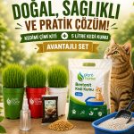 Kedi Çimi Yetiştirme Kiti + 5 Litre Bentonit Kedi Kumu Seti | Doğal, Sağlıklı ve Avantajlı Paket