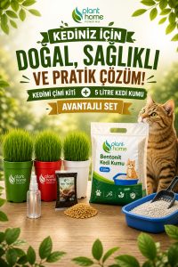 Kedi Çimi Yetiştirme Kiti + 5 Litre Bentonit Kedi Kumu Seti | Doğal, Sağlıklı ve Avantajlı Paket