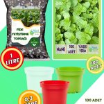 Nane Yetiştirme Seti – Nane Tohumu + Cocopeat & Perlit Katkılı Fide Toprağı + 3’lü Drenajlı Saksı