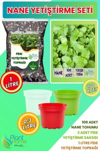 Nane Yetiştirme Seti – Nane Tohumu + Cocopeat & Perlit Katkılı Fide Toprağı + 3’lü Drenajlı Saksı