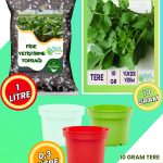 Tere Yetiştirme Seti – Tere Tohumu + Cocopeat & Perlit Katkılı Fide Toprağı + 3’lü Drenajlı Saksı