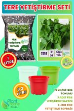 Tere Yetiştirme Seti – Tere Tohumu + Cocopeat & Perlit Katkılı Fide Toprağı + 3’lü Drenajlı Saksı