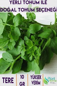 Tere Yetiştirme Seti – Tere Tohumu + Cocopeat & Perlit Katkılı Fide Toprağı + 3’lü Drenajlı Saksı - Görsel 4