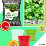 Maydanoz Yetiştirme Seti – Maydanoz Tohumu + Karışımloı Fide Toprağı + 3’lü Renkli Drenajlı Saksı