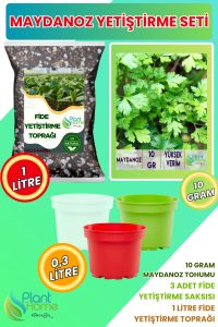 Maydanoz Yetiştirme Seti – Maydanoz Tohumu + Karışımloı Fide Toprağı + 3’lü Renkli Drenajlı Saksı