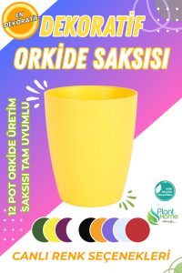 Dekoratif Orkide Dış Saksısı Sarı – Hava Alan ve Zarif Tasarımlı Saksı İç Mekan Kullanımına Uygun