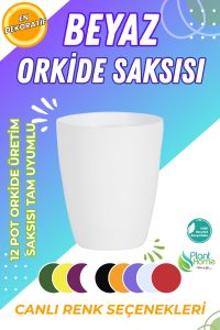 Dekoratif Orkide Dış Saksısı Beyaz – Hava Alan ve Zarif Tasarımlı Saksı İç Mekan Kullanımına Uygun - Görsel 4