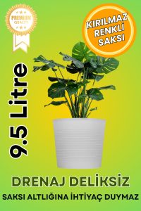 Gri 9.5 Litre Dekoratif Bitki Saksısı – İç-Dış Mekan Bitkileri İçin Uygun Saksı - Görsel 2