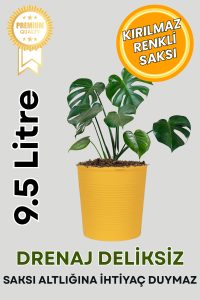 ( BÜYÜK BOY SAKSI ) Sarı DELİKSİZ 9.5 Litre Dekoratif Bitki Saksısı – İç-Dış Mekan İçin Uygun - Görsel 2