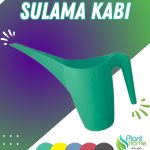 Turkuaz Sulama Kabı 1 Litre – Modern Tasarımlı Bitki Sulama Kabı - Çiçek, Saksı ve Bahçe Kullanımı