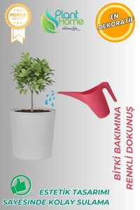 Kırmızı Sulama Kabı – Ergonomik, Dayanıklı ve Şık Bitki Sulama Kabı - İç & Dış Mekan Kullanımı - Görsel 2