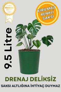 (BÜYÜK BOY SAKSI .)Yeşil 9.5 Litre Dekoratif Bitki Saksısı – İç-Dış Mekan Bitkileri Saksısı - Görsel 2