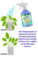 Bitki Canlandırıcı ve Çiçeklenme Destek Seti – Plant Home Power Mix Evde Bakım V2 - Görsel 4