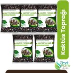 25 Lt Kaktüs ve Sukulent Toprağı - 5x5 Lt Paket | Hızlı Drenaj | Hava Alan Karışım