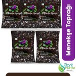 20 Lt Menekşe Toprağı - 5x5 Lt Paket | Özel Formül | Hava Alan Yapı | Çiçeklenme Desteği