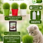 Kedi Çimi Yetiştirme Seti – Saksı, Cocopeat Toprak ve Buğday Tohumu | %100 Doğal 3’lü Kit