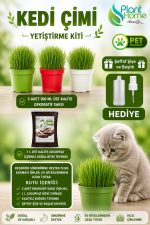 Kedi Çimi Yetiştirme Seti – Saksı, Cocopeat Toprak ve Buğday Tohumu | %100 Doğal 3’lü Kit