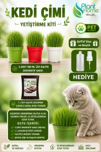 Kedi Çimi Yetiştirme Seti – Saksı, Cocopeat Toprak ve Buğday Tohumu | %100 Doğal 3’lü Kit