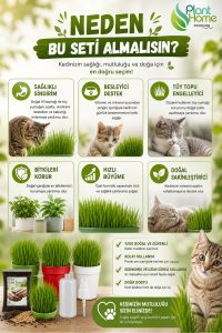 Kedi Çimi Yetiştirme Seti – Saksı, Cocopeat Toprak ve Buğday Tohumu | %100 Doğal 3’lü Kit - Görsel 4