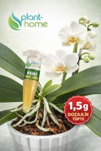 Keiki Macunu Orkide Ve Bitkiler İçin Çoğaltma Hormonu Premium Ürün 1.5gr - Görsel 2