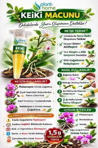 Keiki Macunu Orkide Ve Bitkiler İçin Çoğaltma Hormonu Premium Ürün 1.5gr - Görsel 3
