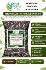 10 Litre - Tropikal Bitki Toprağı Monstera – Alocasia – Schefflera İçin Sinek Yapmayan Formül
