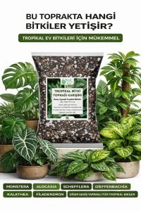 10 Litre - Tropikal Bitki Toprağı Monstera – Alocasia – Schefflera İçin Sinek Yapmayan Formül - Görsel 2