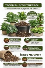 10 Litre - Tropikal Bitki Toprağı Monstera – Alocasia – Schefflera İçin Sinek Yapmayan Formül - Görsel 5