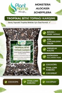 Tropikal Bitki Toprağı Karışımı Monstera – Alocasia – Schefflera İçin Sinek Yapmayan Formül 5 Litre
