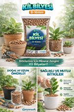 Bitki Bakımı İçin Doğal Kil Bilyesi (Hidroton) – Topraksız Tarım Kil Bilyesi - 3 Litre - Görsel 2