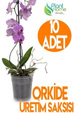 10 Adet Orkide Üretim Saksısı - Plastik Şefaf Orkide Üretimine Uygun Saksı