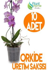 10 Adet Orkide Üretim Saksısı - Plastik Şefaf Orkide Üretimine Uygun Saksı
