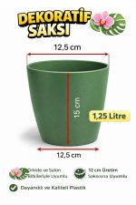 Orkide Saksısı Koyu Yeşil Dekoratif Dış Saksı 1 Adet- 12 Pot Şeffaf Orkide Üretim Saksısı Hediyeli - Görsel 3