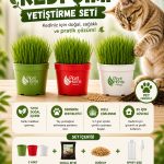 Kedi Çimi Yetiştirme Seti – Doğal, Sağlıklı ve Pratik Evde Kedi Çimi Kit (Plant Home)