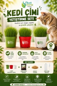 Kedi Çimi Yetiştirme Seti – Doğal, Sağlıklı ve Pratik Evde Kedi Çimi Kit (Plant Home)
