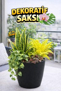 Orkide Saksısı Siyah Dekoratif Dış Saksı 1 Adet- 12 Pot Şeffaf Orkide Üretim Saksısı Hediyeli - Görsel 2