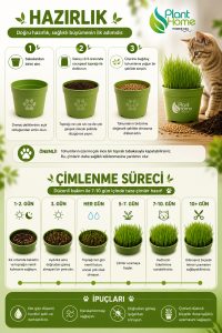 Kedi Çimi Yetiştirme Seti – Doğal, Sağlıklı ve Pratik Evde Kedi Çimi Kit (Plant Home) - Görsel 2