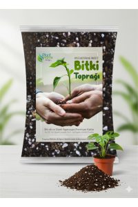 1 Litre Salon Bitkileri Çiçek Toprağı – Böcek Sinek Yapmayan İthal Karışım