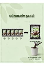 1 Litre Salon Bitkileri Çiçek Toprağı – Böcek Sinek Yapmayan İthal Karışım - Görsel 3