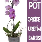 Orkide Üretim Yetiştirme Saksısı 12 Pot 0.75lt Şeffaf Plastik Saksı - 1 Adet