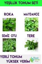 Yeşillik Tohumu 4'lü Avantaj Seti - Maydanoz - Roka - Tere- Semiz Otu Yerli tohum Seti