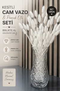Kesitli Cam Vazo ve Pamuk Otu Seti – Dekoratif Modern Vazo, Salon & Ofis İçin Şık Hediye - Görsel 2