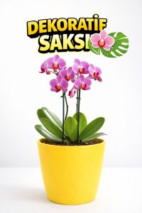 Orkide Saksısı Sarı Dekoratif Dış Saksı 1 Adet- 12 Pot Şeffaf Orkide Üretim Saksısı Hediyeli