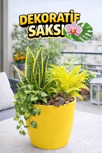 Orkide Saksısı Sarı Dekoratif Dış Saksı 1 Adet- 12 Pot Şeffaf Orkide Üretim Saksısı Hediyeli - Görsel 2