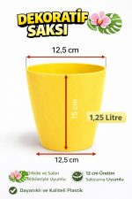 Orkide Saksısı Sarı Dekoratif Dış Saksı 1 Adet- 12 Pot Şeffaf Orkide Üretim Saksısı Hediyeli - Görsel 4
