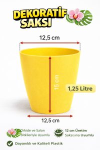 Orkide Saksısı Sarı Dekoratif Dış Saksı 1 Adet- 12 Pot Şeffaf Orkide Üretim Saksısı Hediyeli - Görsel 4