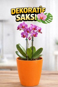 Orkide Saksısı Turuncu Dekoratif Dış Saksı 1 Adet- 12 Pot Şeffaf Orkide Üretim Saksısı Hediyeli